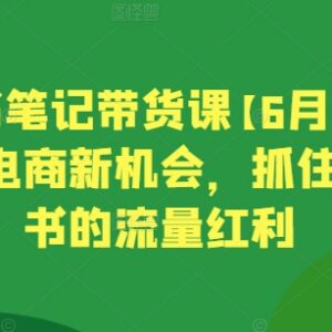 2024年6月更新小红书笔记带货课 掌握流量玩法抓住电商新机遇-雨叶虚拟资源网