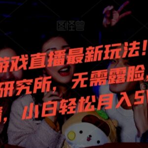 2024年微恐小游戏怪谈研究所直播 0粉不露脸新手玩法解析-雨叶虚拟资源网