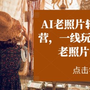 AI老照片转视频实战教程 一线玩家教你操作技巧及变现方法-雨叶虚拟资源网