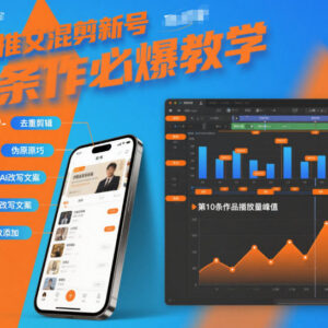 小说推文混剪新号运营教学 伪原创10条作品起号爆量技巧-雨叶虚拟资源网