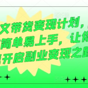 2024最新AI图文带货变现教程 零基础副业入门全流程实操课-雨叶虚拟资源网