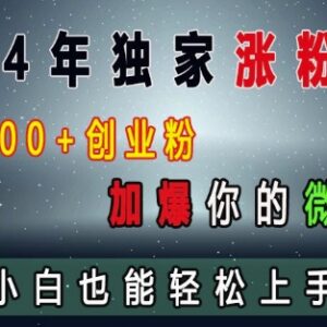 2024创业粉引流实操教程 小白可上手日引300+私域涨粉方法-雨叶虚拟资源网