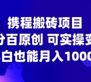 2024携程搬砖实操项目教程 新手零基础可做月入千元攻略-雨叶虚拟资源网