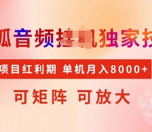 搜狐音频挂机独家技术教程 可矩阵放大稳定增收项目解析-雨叶虚拟资源网