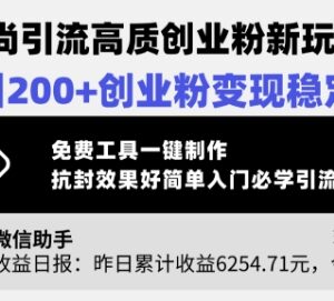 小和尚IP引流高质创业粉实操方法 附免费一键制作工具教程-雨叶虚拟资源网