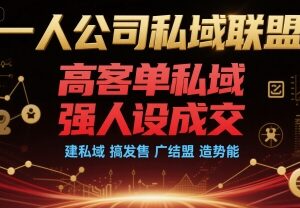 一人公司高客单私域运营攻略 强人设打造及发售实操指南-雨叶虚拟资源网