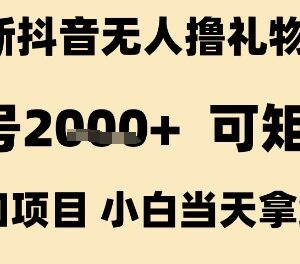 抖音无人撸礼物8.0玩法详解 小白可操作单号收益超2k可矩阵布局-雨叶虚拟资源网