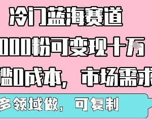 冷门蓝海零成本变现项目解析 千粉即可盈利可多领域复制-雨叶虚拟资源网