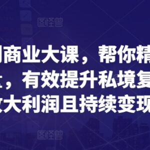 全域盈利商业大课详解 公域获客私域复购及持续变现方法教学-雨叶虚拟资源网