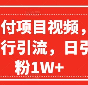 爆火赔付项目视频引流实操教程 全网平台日引创业粉方法-雨叶虚拟资源网
