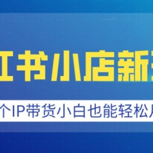 2025小红书小店蹭IP带货新玩法 小白低门槛可上手实操教程-雨叶虚拟资源网