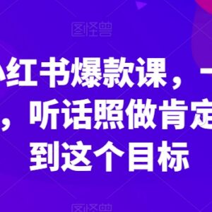 李鲆小红书爆款运营课分享 多维度提升笔记阅读量实操方法-雨叶虚拟资源网