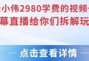 价值2980元付费视频号绿幕直播玩法拆解 含搭建实操素材-雨叶虚拟资源网