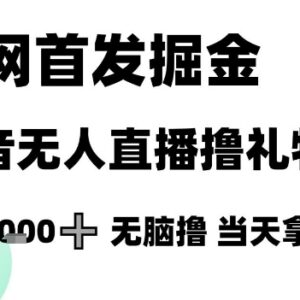 抖音无人直播撸礼物项目玩法 小白零门槛操作当天即可见收益-雨叶虚拟资源网