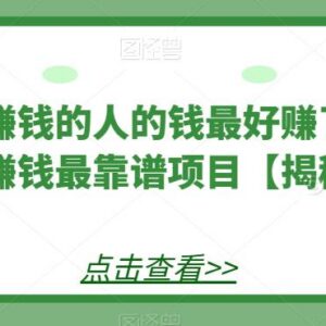 2024年靠谱网络赚钱项目盘点 创业粉引流变现实操玩法详解-雨叶虚拟资源网