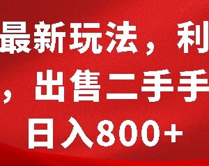 2024闲鱼二手手机售卖实操 靠信息差变现玩法教程分享-雨叶虚拟资源网