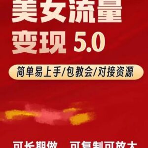 TK美女短视频变现升级版项目 可无限复制的高性价比玩法揭秘-雨叶虚拟资源网