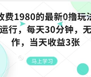 2024全自动0撸挂机赚钱玩法 每天操作30分钟当日即可见收益-雨叶虚拟资源网