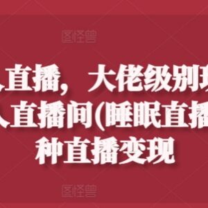 抖音24小时无人睡眠直播间搭建方法及变现玩法实操揭秘-雨叶虚拟资源网
