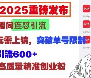 2025小红书直播间实操引流方法 无需连麦上镜日引600+创业粉-雨叶虚拟资源网