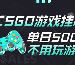 2025年CSGO非汇率全自动搬砖玩法 手机操作无需游玩项目揭秘-雨叶虚拟资源网