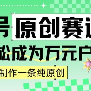 2024视频号最新原创赛道玩法 1分钟做内容轻松实现日入四位数-雨叶虚拟资源网