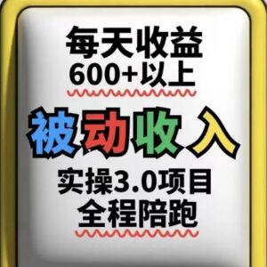 被动收入实操3.0项目介绍 长期可操作收益稳定易上手-雨叶虚拟资源网