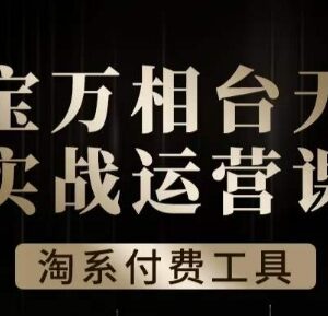 淘系万相台无界实战运营课 全模块实操全案例深度解析-雨叶虚拟资源网