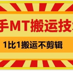 安卓端快手MT一比一搬运技术 无需剪辑剧情内容可实现条条同框-雨叶虚拟资源网