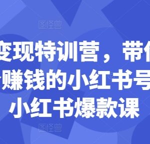 24堂小红书爆款运营课 从0到1打造可变现的个人小红书账号-雨叶虚拟资源网