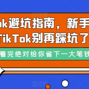 新手入局TikTok避坑指南 跨境电商运营常见雷区汇总-雨叶虚拟资源网