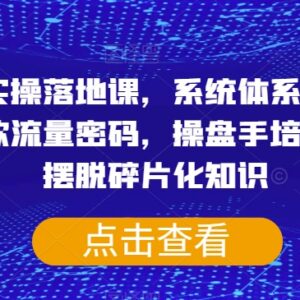 短视频体系化实操落地课 全链路掌握爆款流量逻辑提升操盘能力-雨叶虚拟资源网