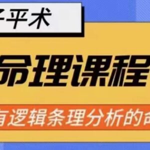 逻辑清晰的象法命理系统教程 全阶段八字学习实战课程-雨叶虚拟资源网