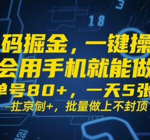 低门槛号码拉新掘金项目详解 手机即可操作收益可观-雨叶虚拟资源网