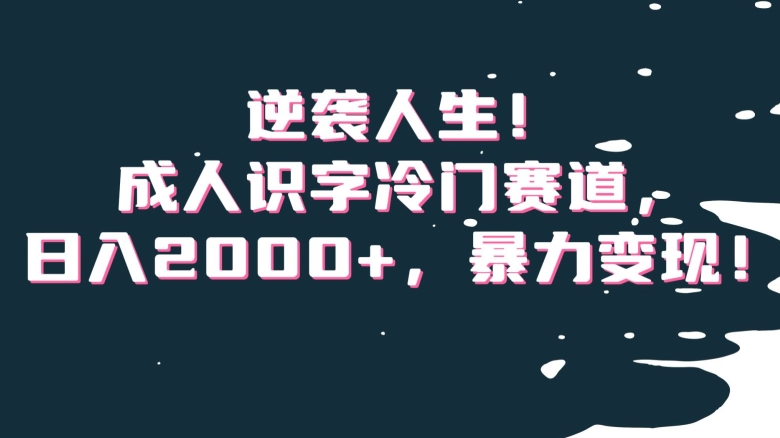 成人识字冷门变现赛道解析 低门槛副业运营实操及收益说明