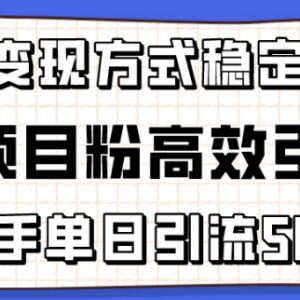 精准项目粉高效引流实操指南 新手操作单日可引流50+支持多重变现-雨叶虚拟资源网