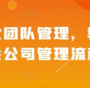 精细化团队管理实操教程 企业公司管理全流程方法详解-雨叶虚拟资源网
