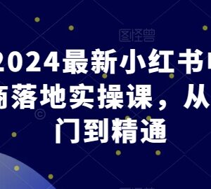 2024最新小红书电商落地实操课 从入门到精通全流程教学-雨叶虚拟资源网