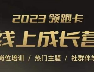2023淘宝运营线上成长营 覆盖全岗位及直通车万相台实操培训-雨叶虚拟资源网