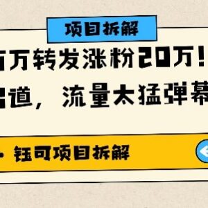 AI猪猪侠唱歌爆款视频玩法 百万转发涨粉20W起号实操教程-雨叶虚拟资源网