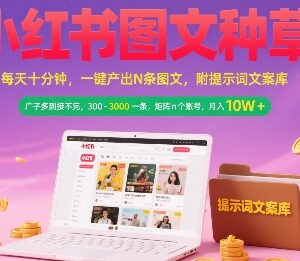 小红书AI图文种草副业实操 矩阵运营接单变现全攻略-雨叶虚拟资源网