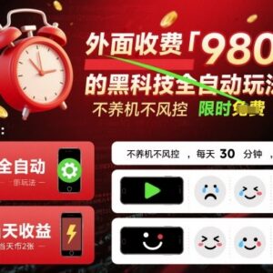 售价980元全自动无风控网赚玩法 低门槛操作收益模式揭秘-雨叶虚拟资源网