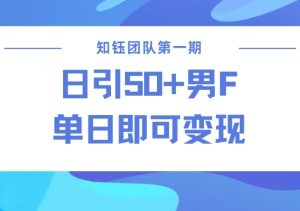 2025合规男粉引流实操方法 无违规风险可实现当日变现-雨叶虚拟资源网