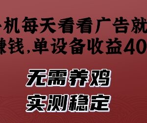 实测稳定手机看广告赚收益项目 无本金单设备日入40+无需养鸡-雨叶虚拟资源网