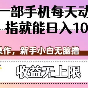 适合新手的零门槛短视频代发副业 批量操作可实现日入百元-雨叶虚拟资源网