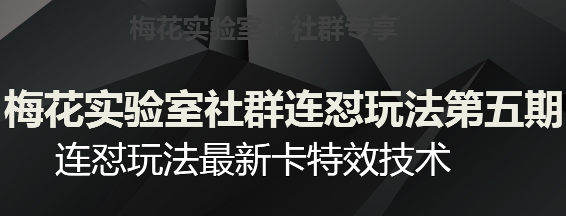 梅花实验室社群连怼玩法第五期,视频号连怼玩法最新卡特效技术