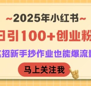2025年小红书日引百粉实操方法 新手可复制的合规引流技巧-雨叶虚拟资源网