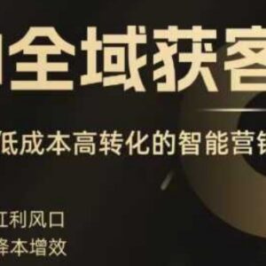 2025AI全域获客实训营 低成本智能营销精准拓客实操教程-雨叶虚拟资源网