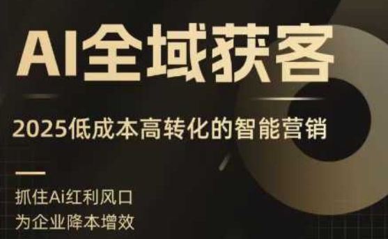 2025AI全域获客实训营 低成本智能营销精准拓客实操教程