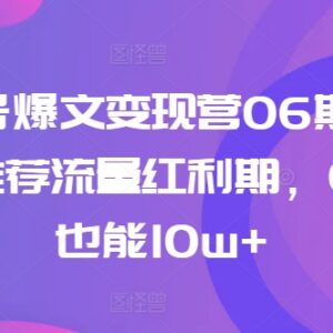 AI公众号爆文变现营06期教程 0粉起号抓公域流量红利冲10w+-雨叶虚拟资源网